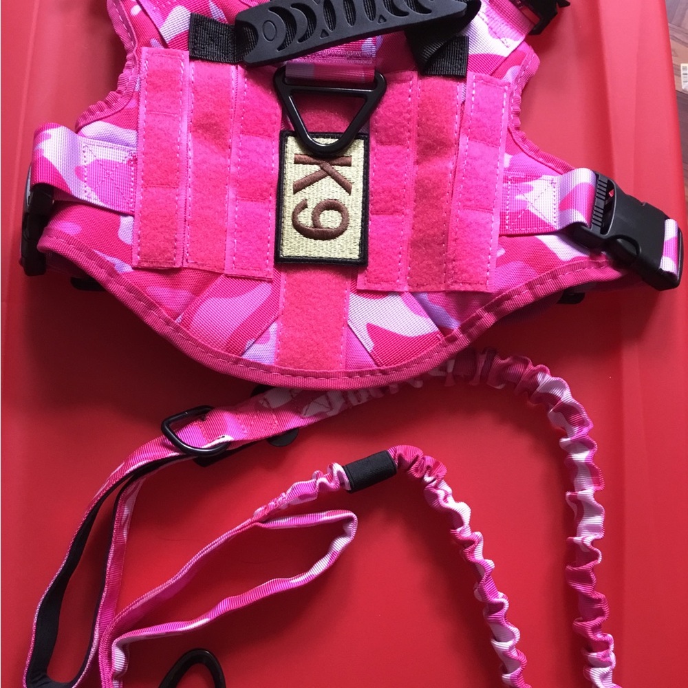 K9 Harness Leash - Adjustable Walking Lead